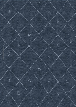Ethno 1379-Fence - handmade rug, persian (India), 10x15 3ply quality